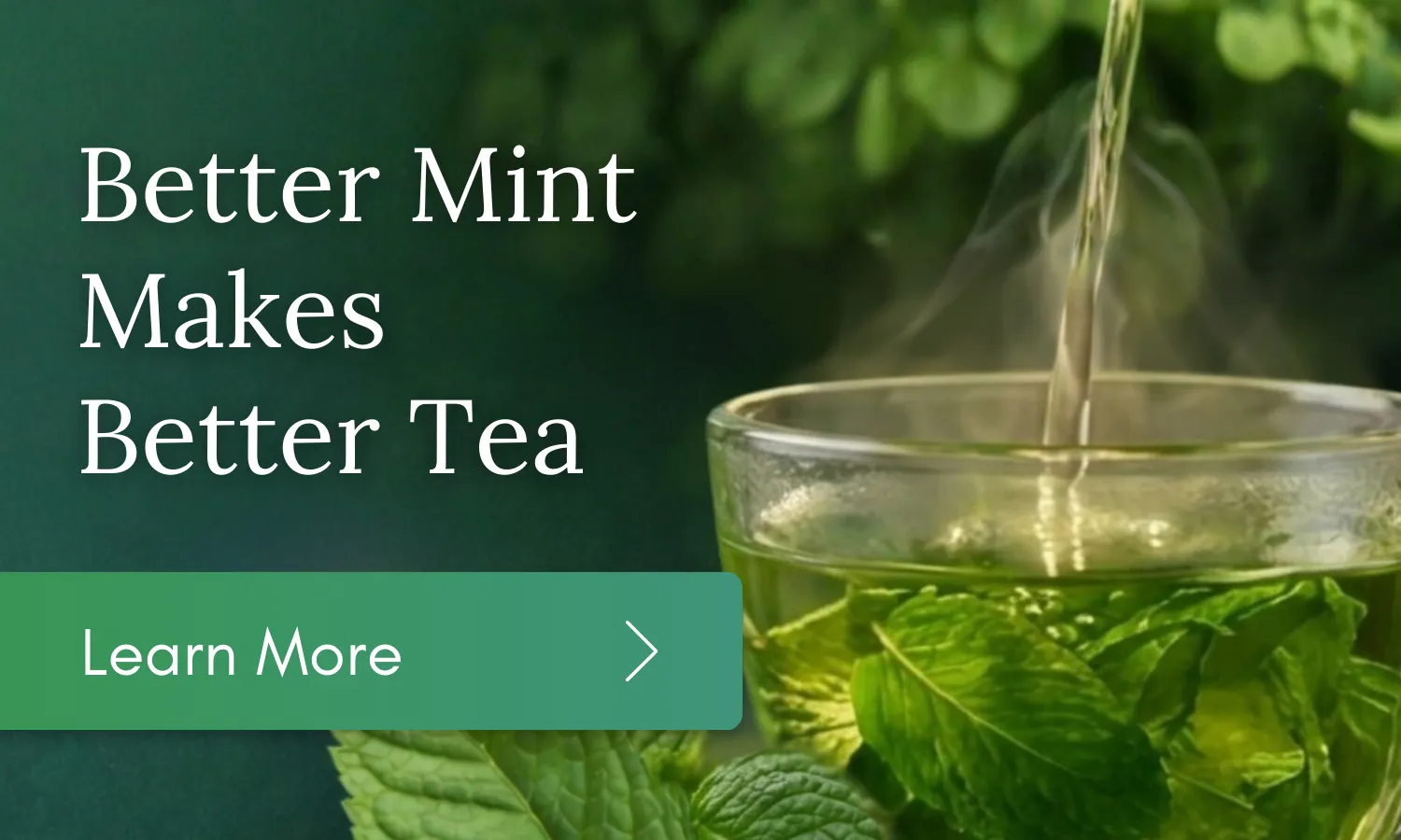 Banner promoting the newsletter